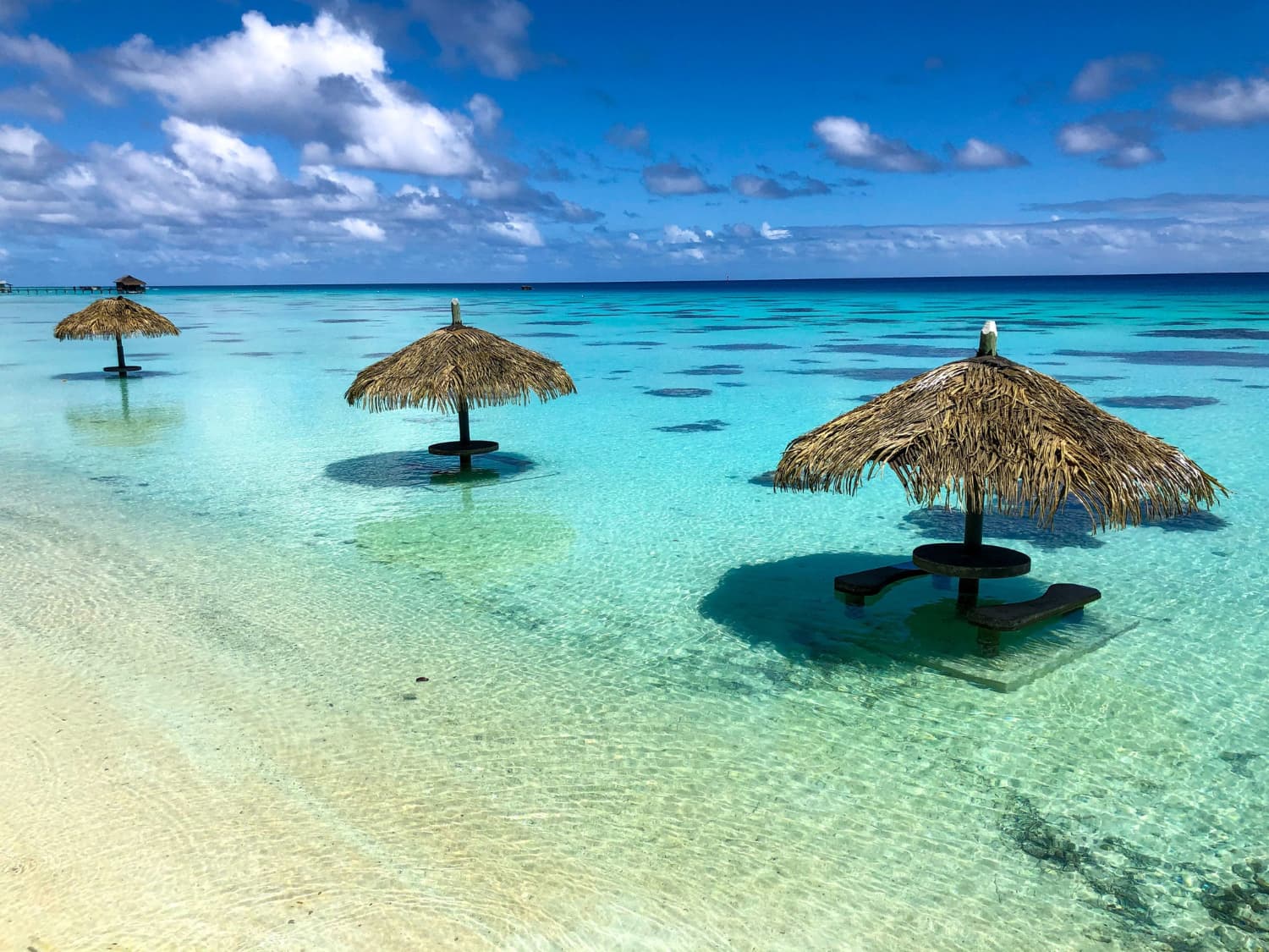 Strandbedjes met palmlooi parasols in helder turkoois water op Curaçao
