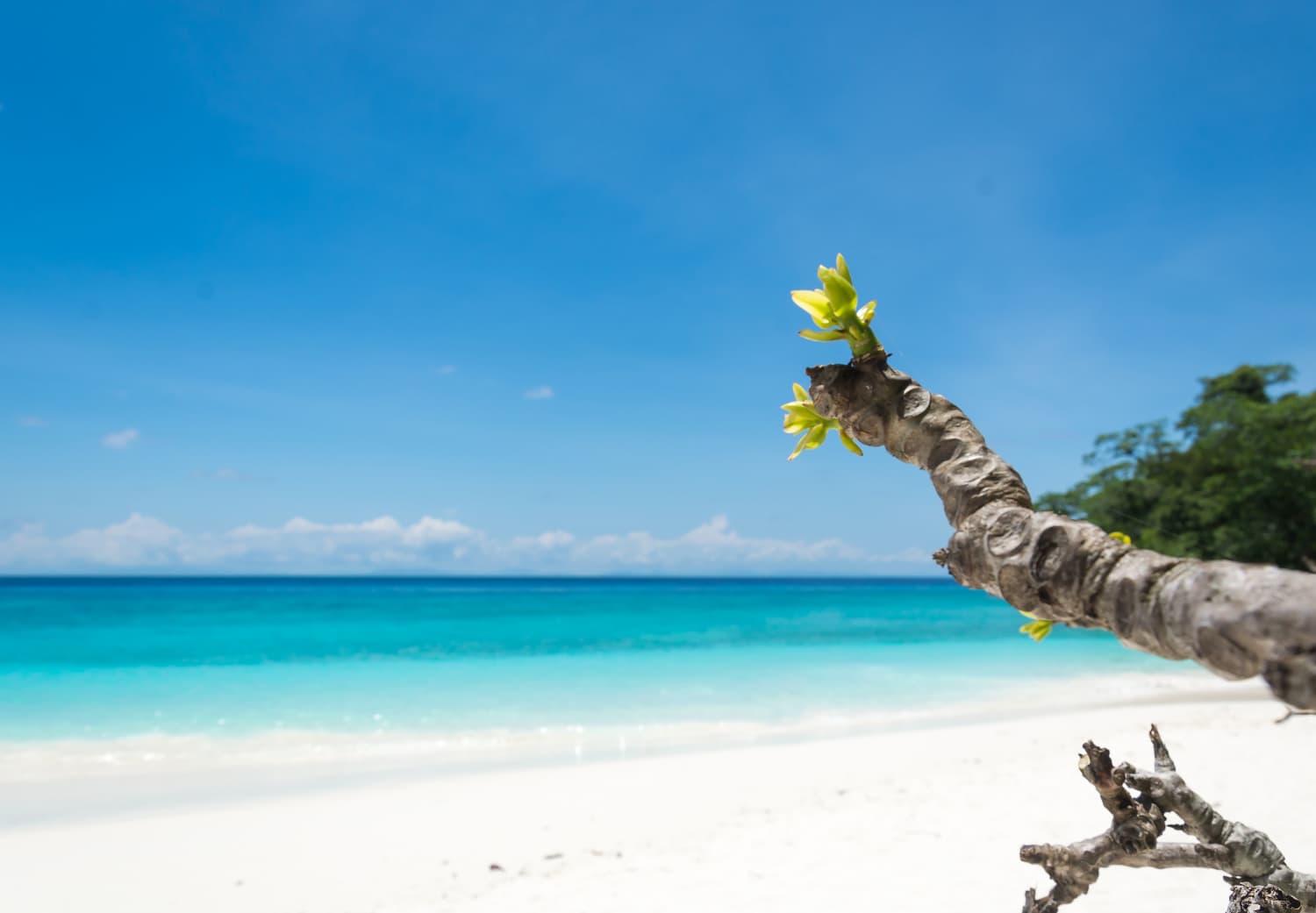 Wit zandstrand met turkoois water aan de westkust van Curaçao