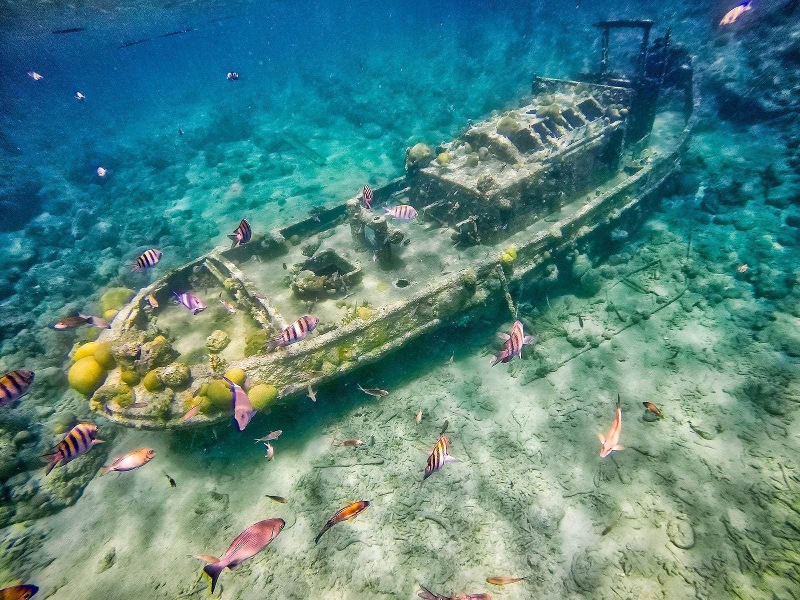 Het gezonken Tugboat-wrak bij Caracasbaai, Curaçao