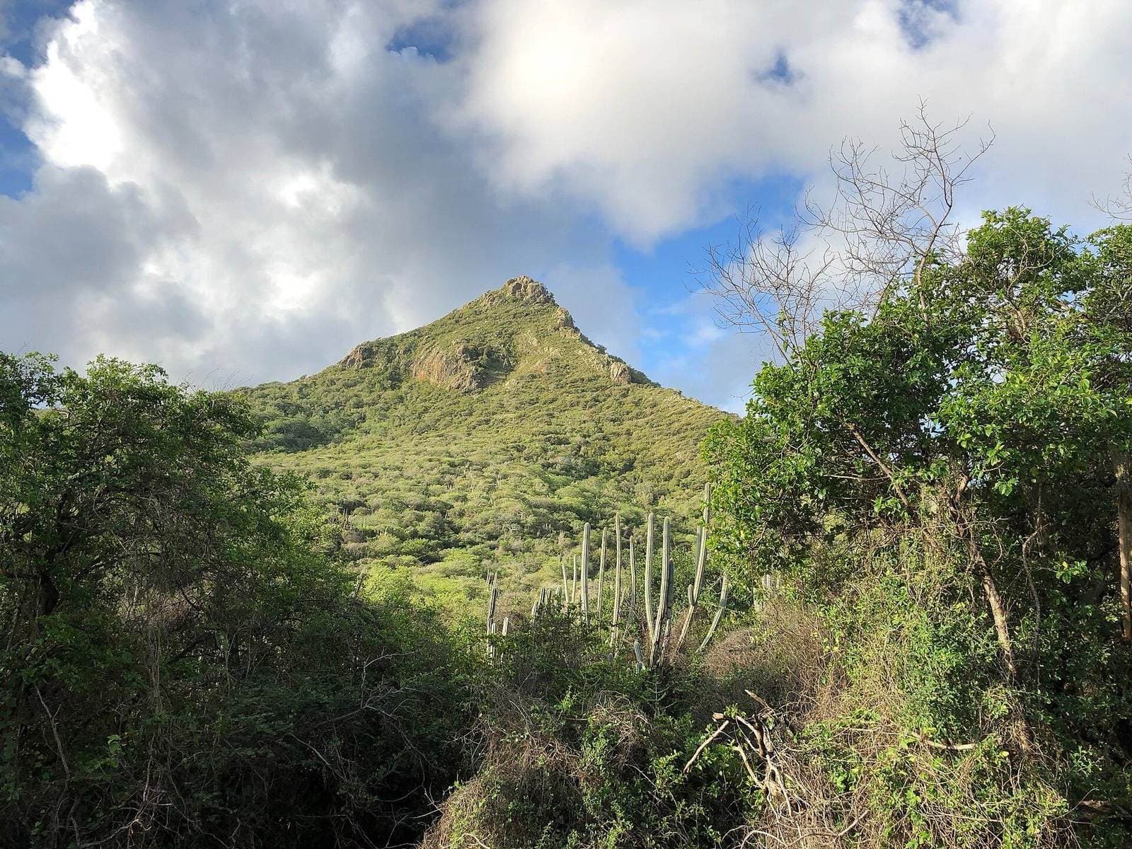 De Christoffelberg op Curaçao