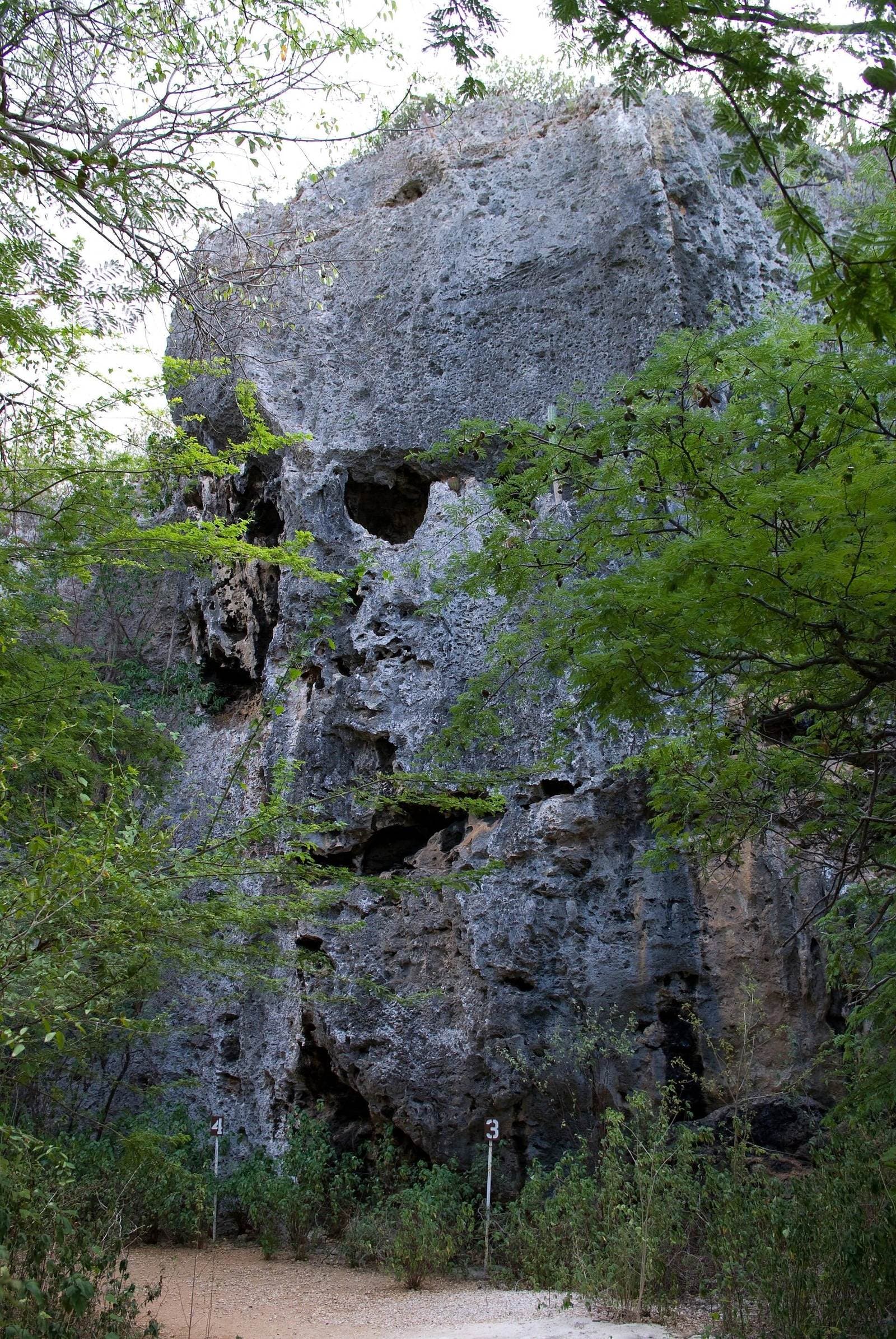 Druipsteenformaties in de Hato-grotten, Curaçao
