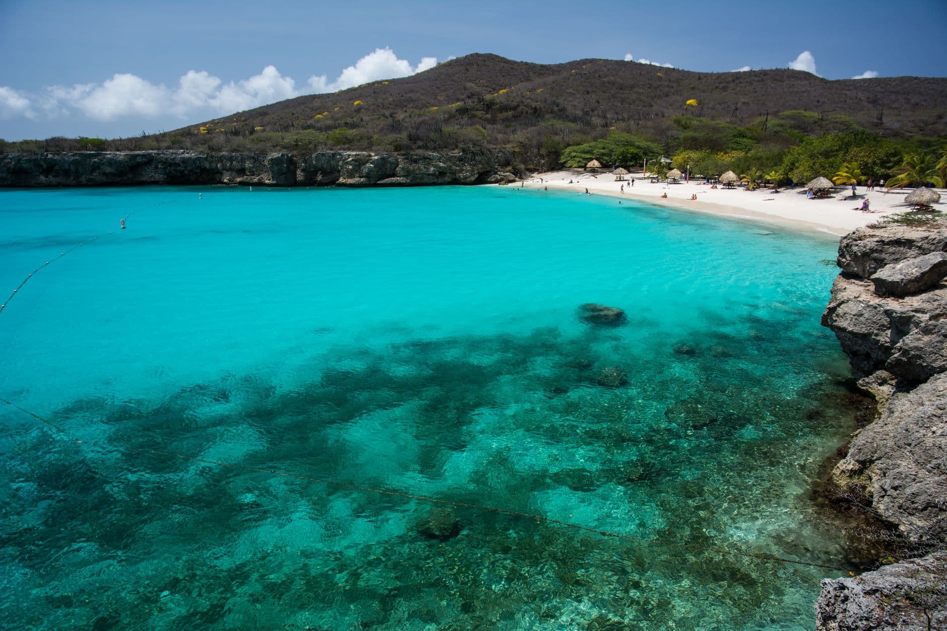 Caribisch kustlandschap met turkoois water