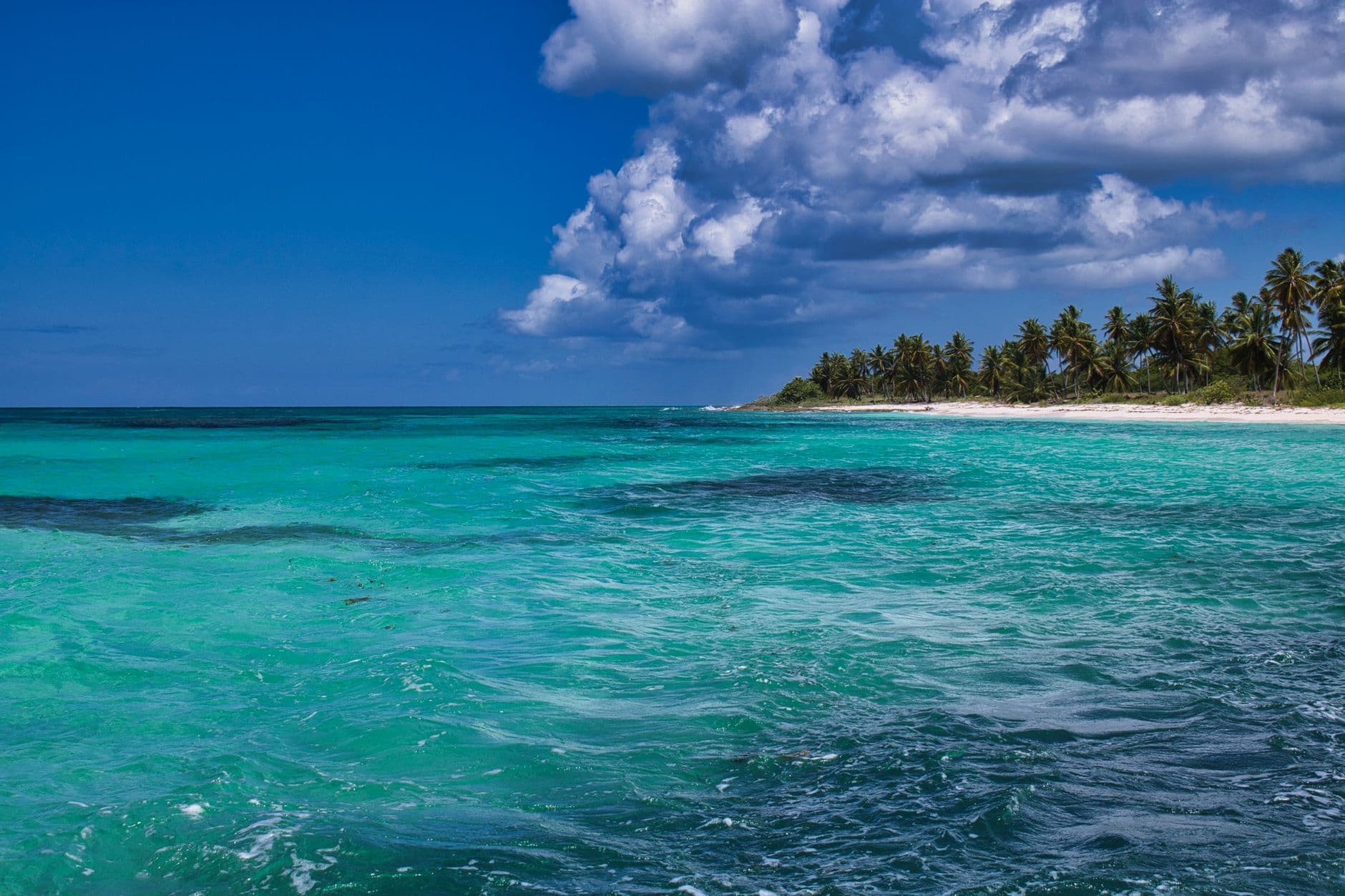 Turkoois water aan een Caribisch strand