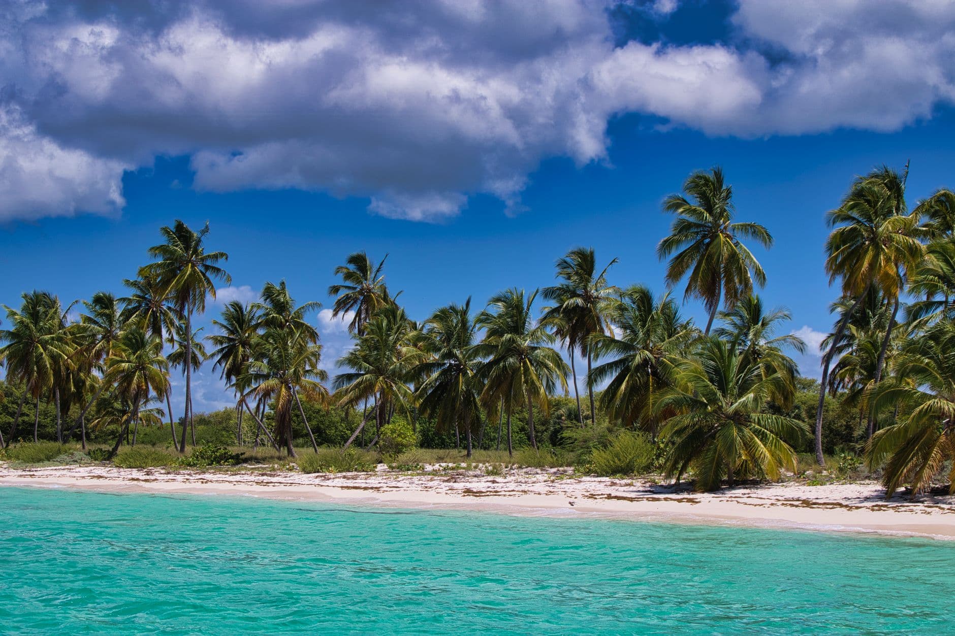 Turkoois water aan een Caribisch strand
