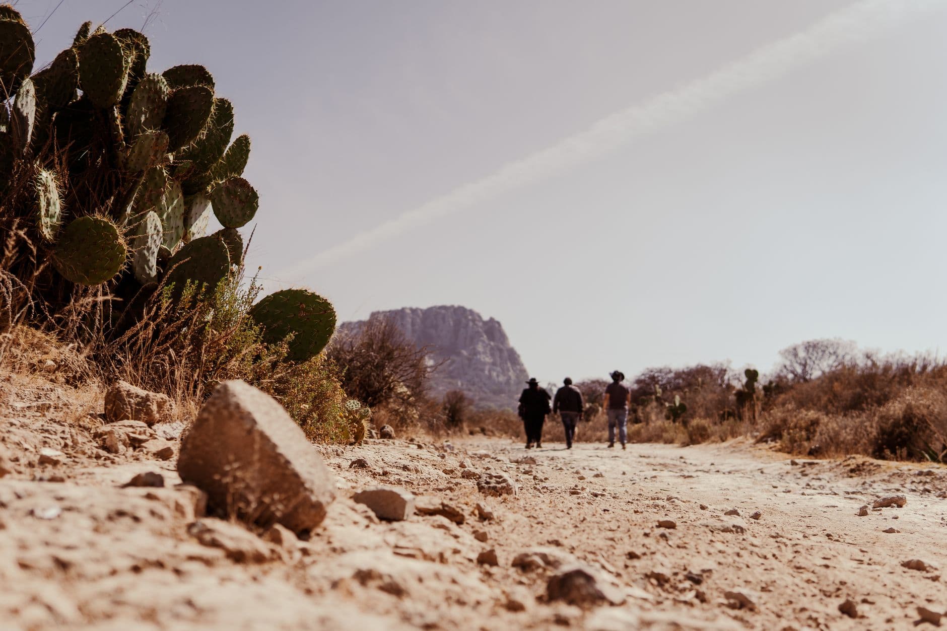 Wandelaars in een droog landschap met cactussen