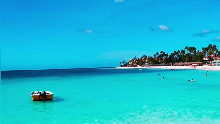 Aerial-shot van een Curaçao-strand met turkoois water en palmen